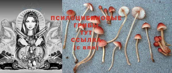 гашиш Горнозаводск